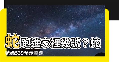 家裡跑進蛇|家裡有蛇代表什麼？5種吉兆解析